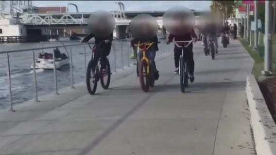Tampa City Council cracking down on reckless bicyclists