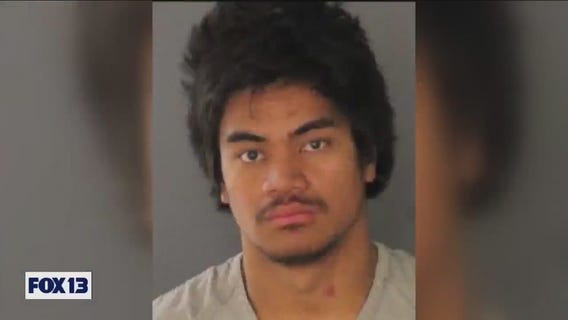 Mother of suspected felon speaks out