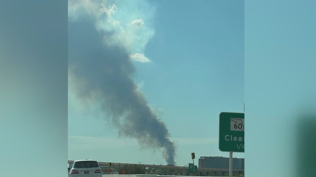 Unpacking fire dangers after Tampa brush fire
