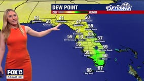 Tampa weather: Breezy, drier Saturday