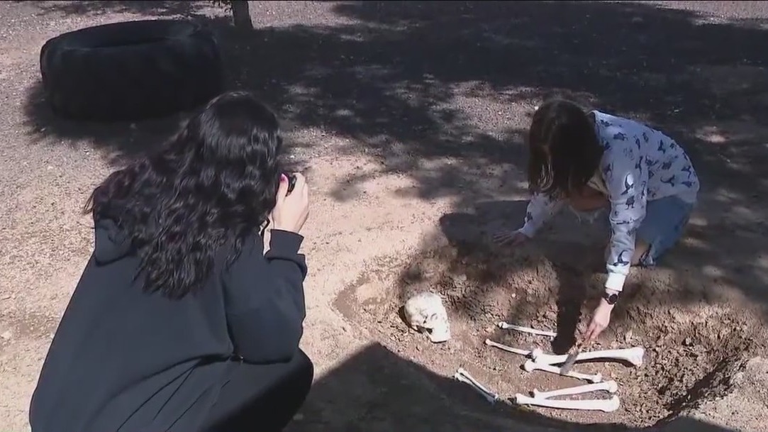 High school in Gilbert launches criminal justice program