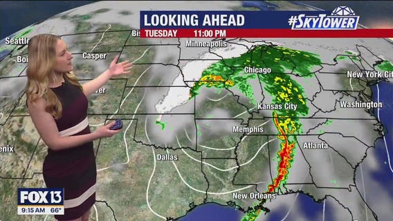 Tampa weather | Clear skies and sunny