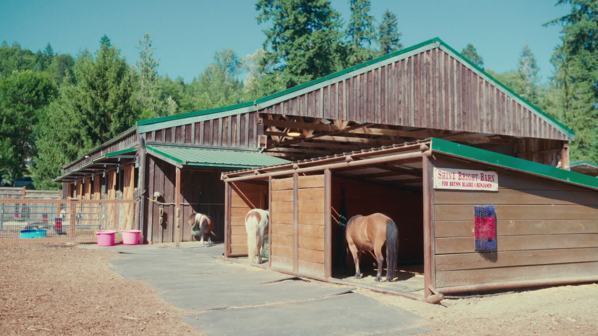 ALL FORWARD – The Jesús Ferreira Story, Episode 4