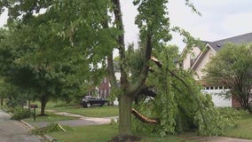 Tornadoes confirmed in Naperville, Joliet and Crest Hill
