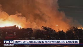 Multiple rows of cars burn in Kent, WA wrecking yard fire