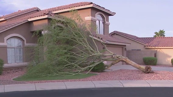 Monsoon: Roofing companies inundated with calls