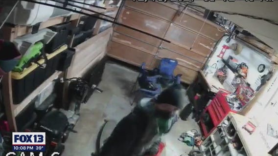 Crook breaks into family home, while they're in another room