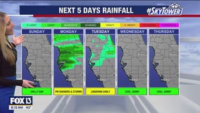 Tampa weather | Sunny conditions on Sunday