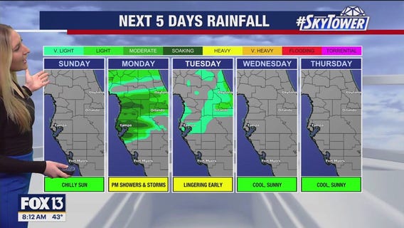 Tampa weather | Sunny conditions on Sunday