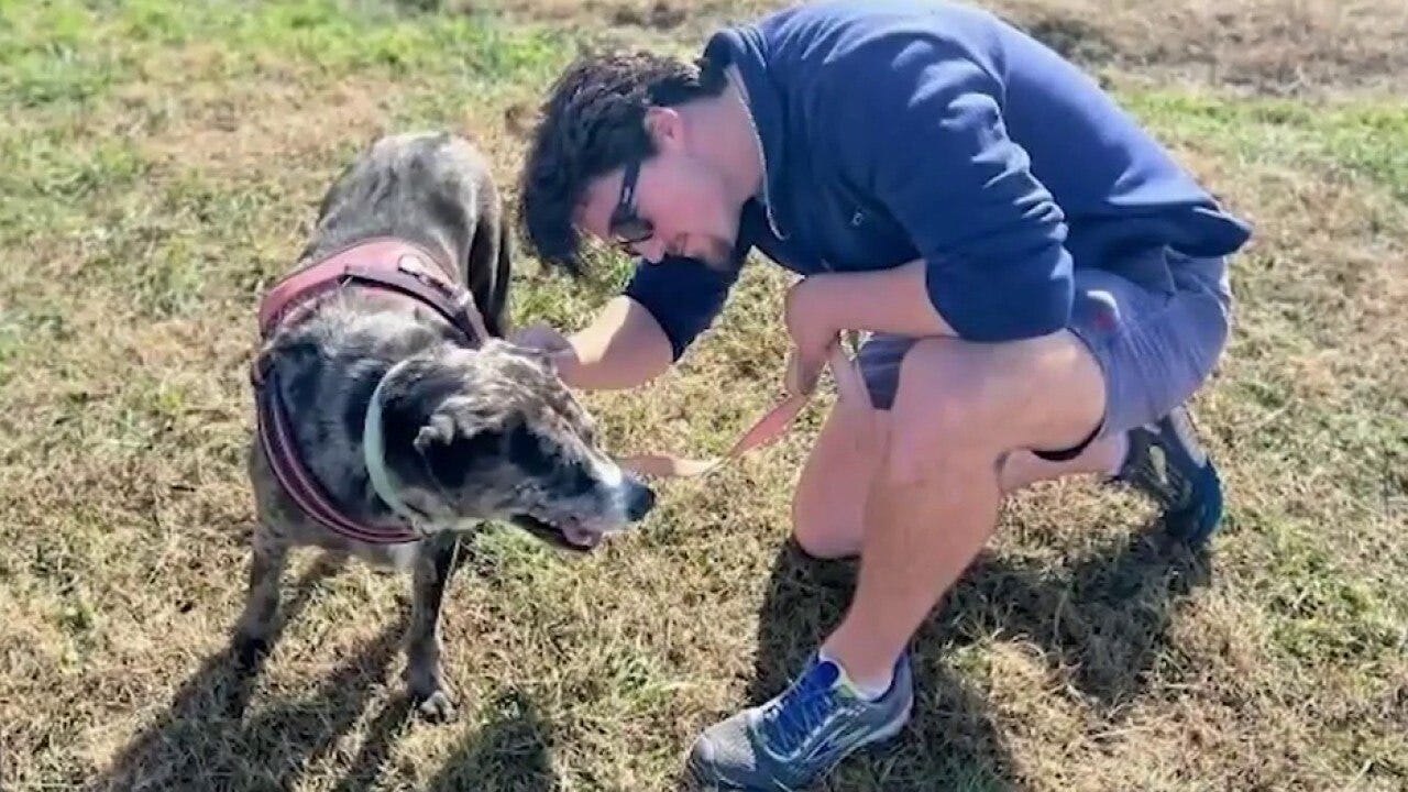 Father honoring murdered son; Pregnant woman dies after crash; Firefighters rescue dog | FOX 5 News