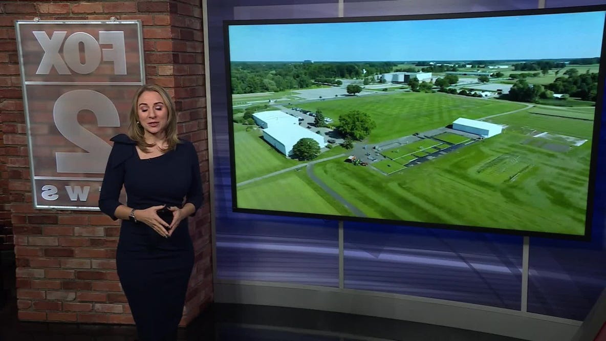 MSU Turfgrass takes center stage at 2026 FIFA World Cup