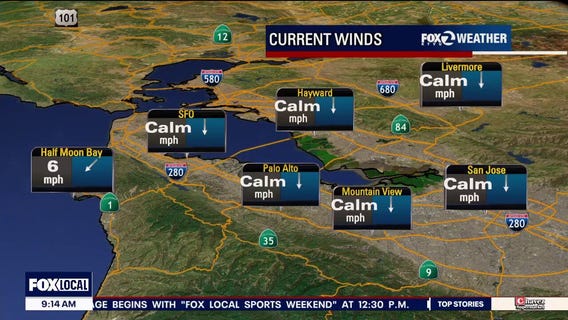 Bay Area begins to thaw out as temps rise, sun shines