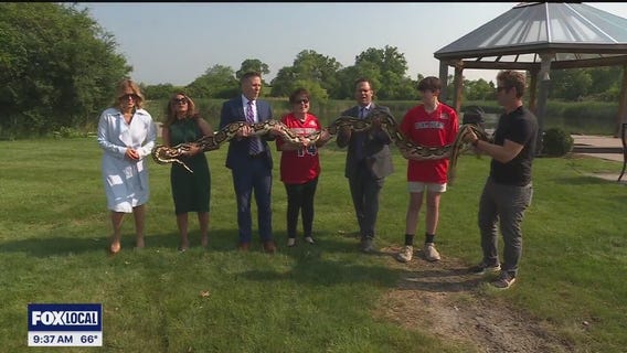 Hamburg Family Fun Fest returns