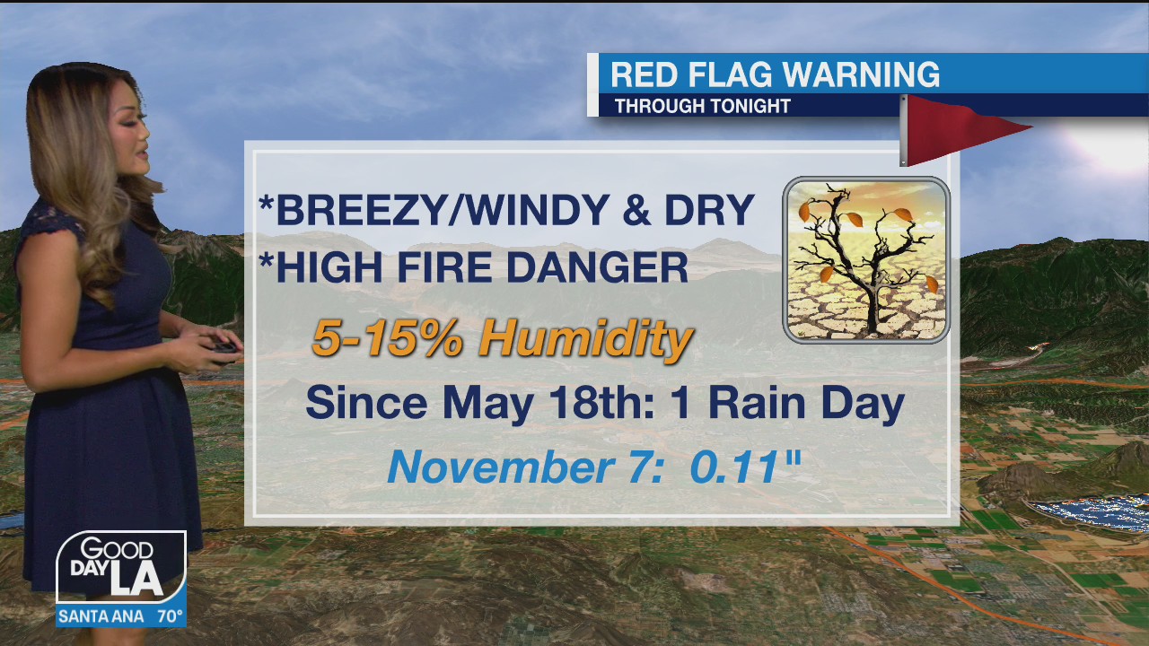 Weather Forecast for Tuesday, December 8