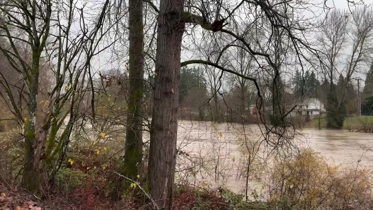 VIDEO: Flooding along the Puyallup River