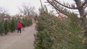 Minnesotans wondering about ?white Christmas?