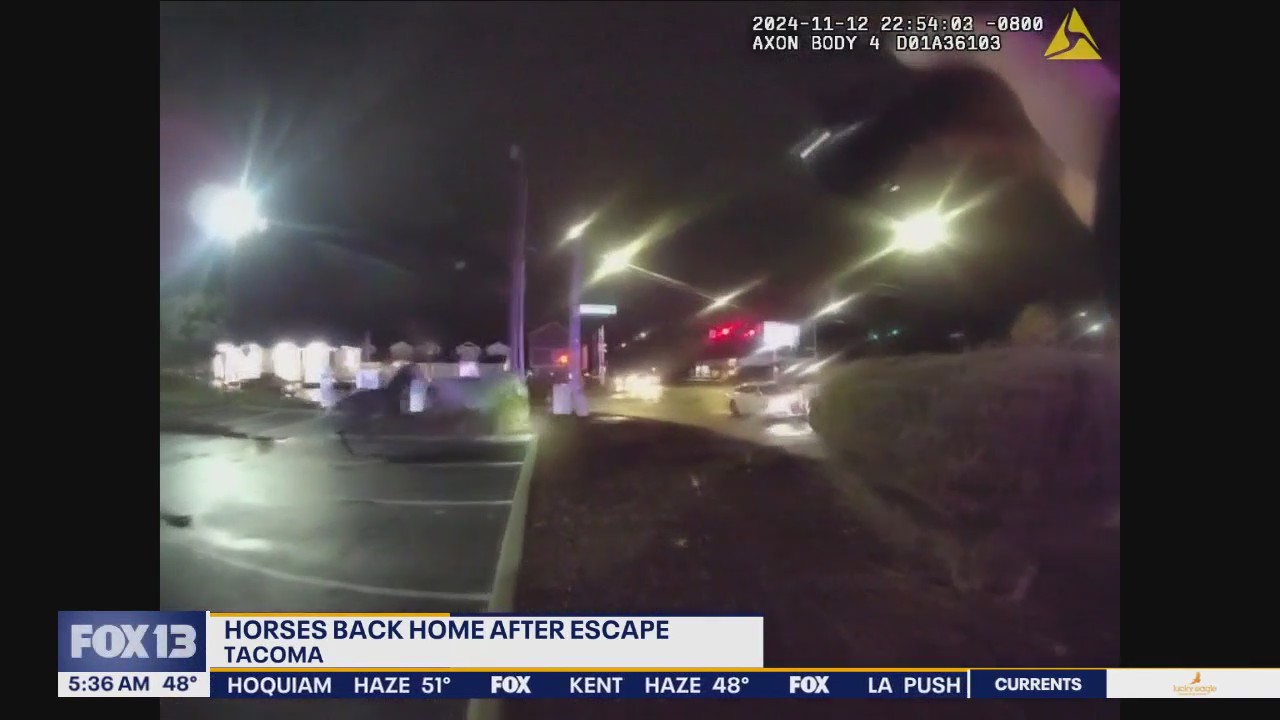 Horses back home after escape in Pierce County, WA