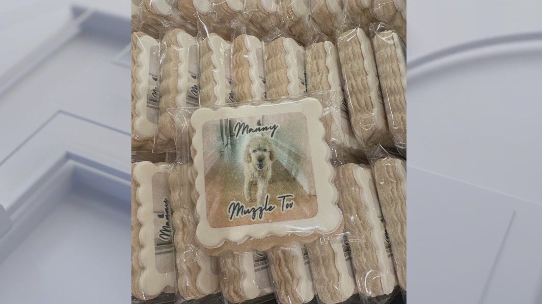 San Francisco couple throws 'bark'-mitzvah for 13-year-old dog