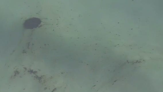 California oil spill: Authorities investigating if ship’s anchor hit pipeline