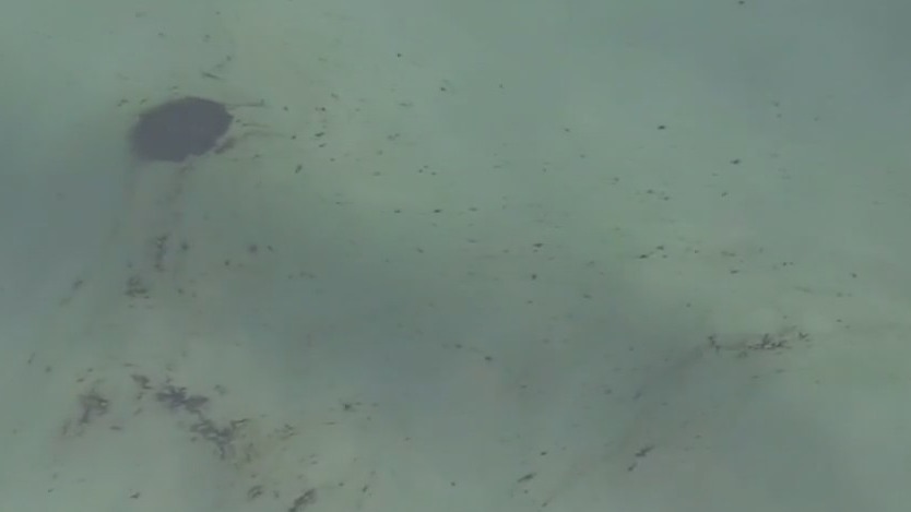 California oil spill: Authorities investigating if ship’s anchor hit pipeline