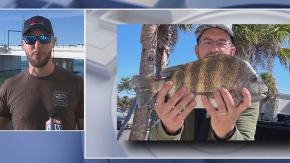 New moon approaches, should bring fish activity