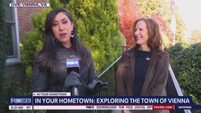 America's 250th - Vienna