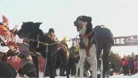 Winter events canceled due to warm MN winter