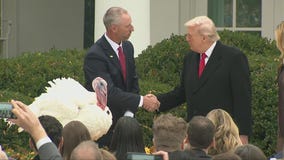 WATCH: President Trump pardons turkeys in White House tradition