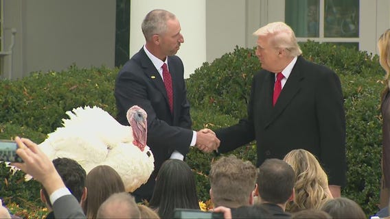 WATCH: President Trump pardons turkeys in White House tradition