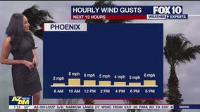 Morning Weather Forecast - 3/9/25