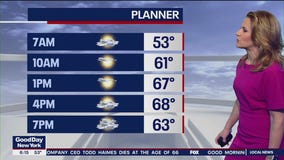 Friday weather foreast