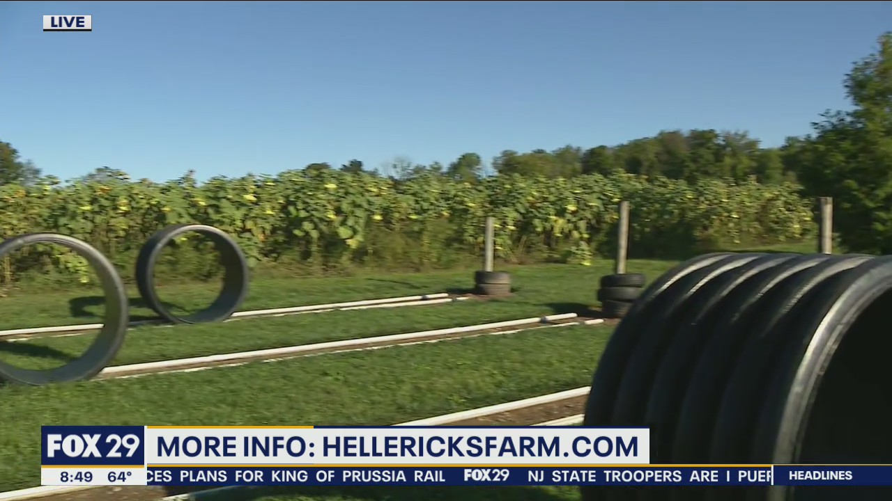 Fall Fest is underway at Hellerick's Farm until November