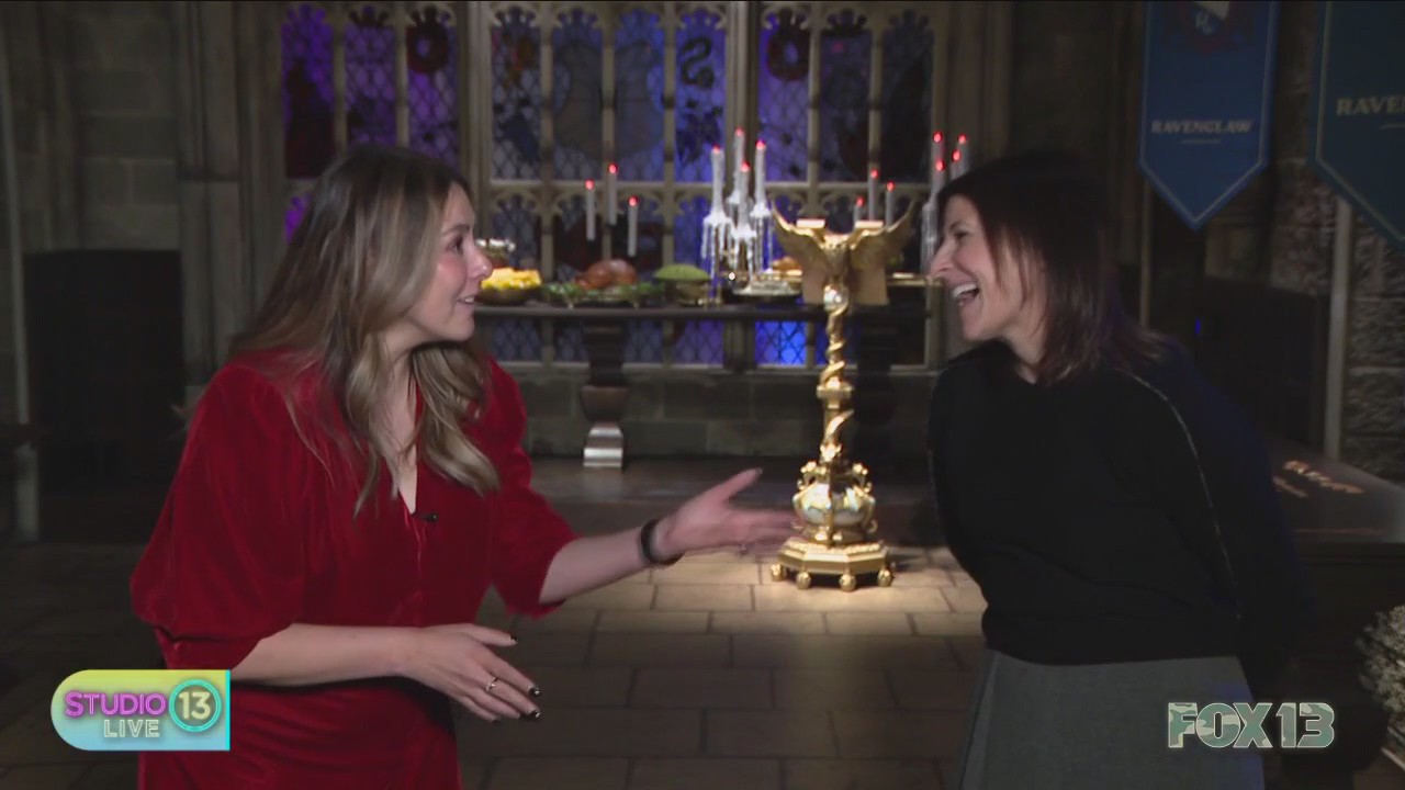 Taking you inside 'Harry Potter: Magic at Play'