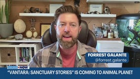 Forrest Galante explores endangered species in latest wildlife project | ChicagoNOW