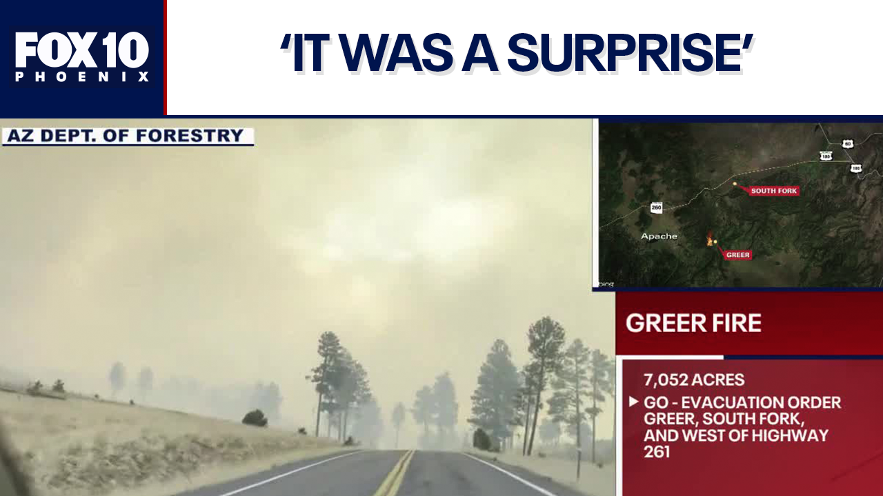 Greer Fire: Latest on the fast-moving wildfire