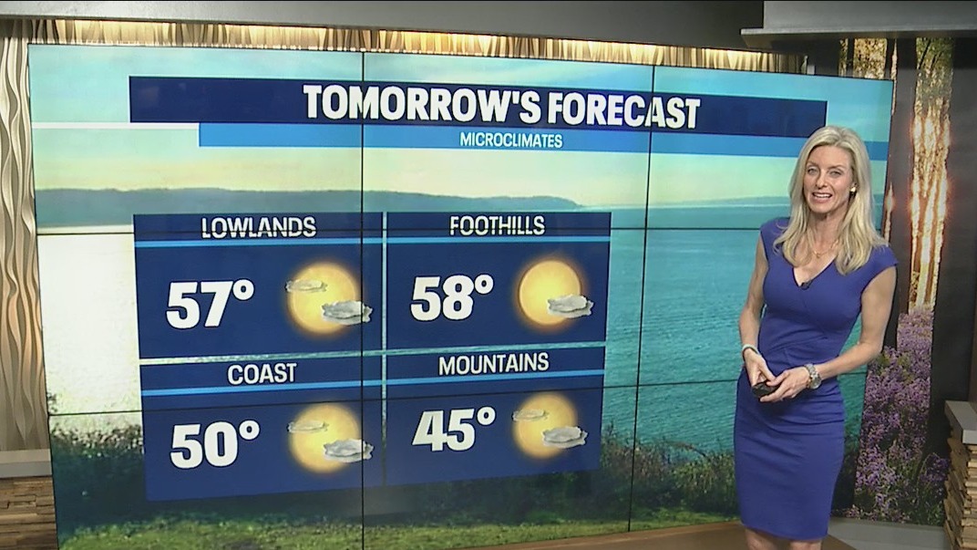 Sunshine for St. Patrick's Day