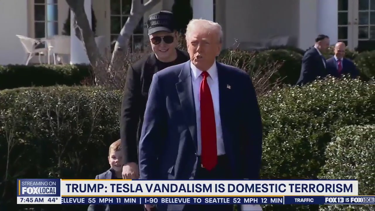 Trump: Tesla vandalism is domestic terrorism