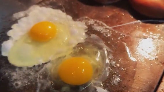 Avian flu drives egg prices, hampers local businesses