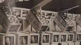 McKenna Brothers Citrus is a family affair