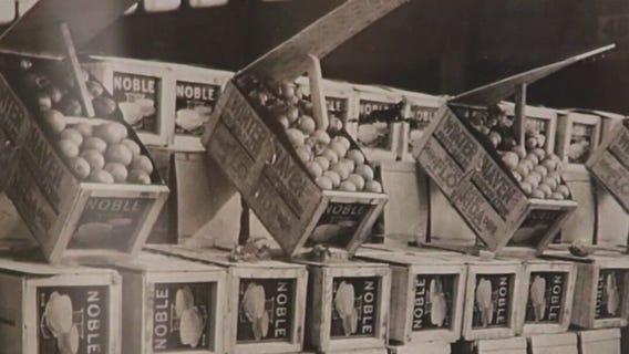 McKenna Brothers Citrus is a family affair