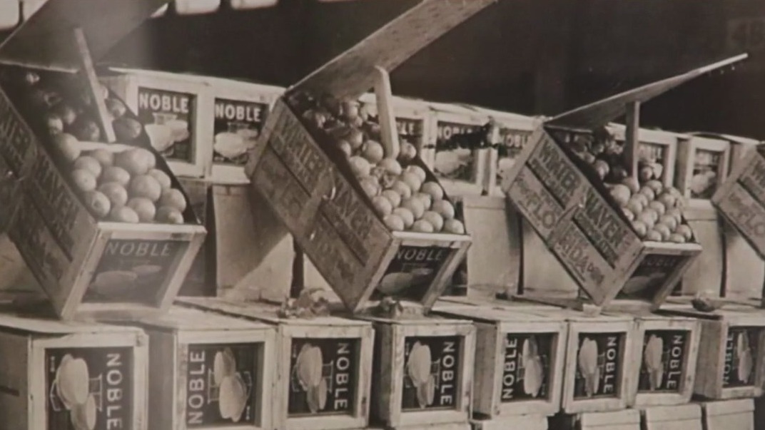 McKenna Brothers Citrus is a family affair