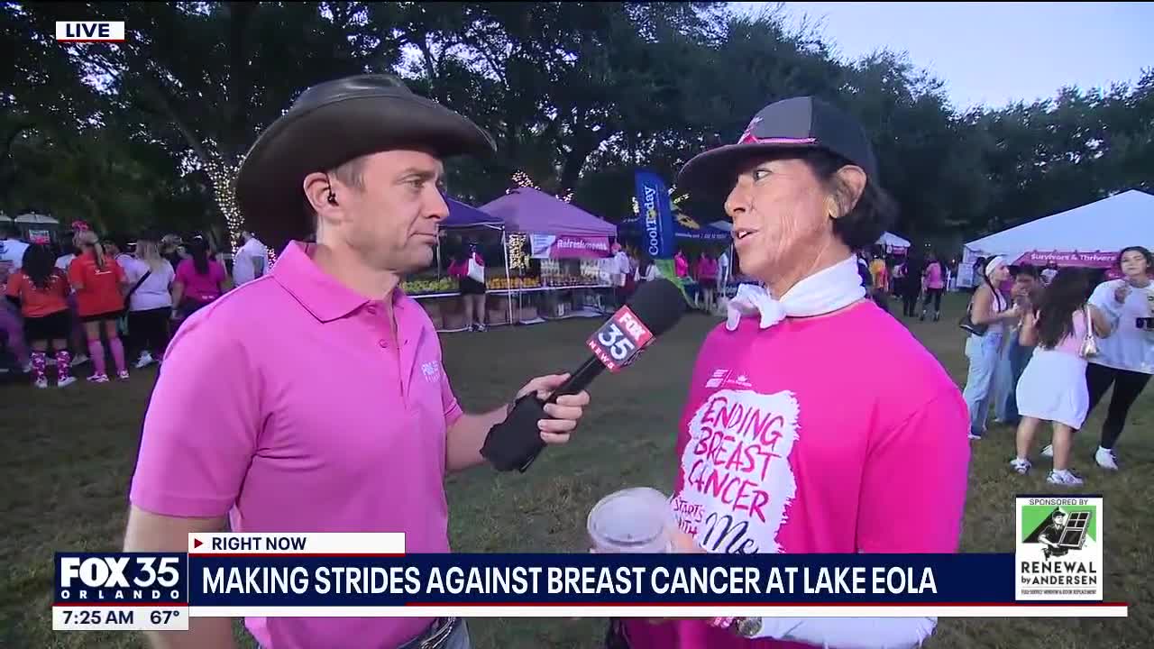Making Strides Against Breast Cancer