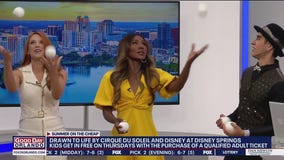 Summer on The Cheap: Drawn to Life by Cirque du Soleil