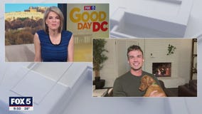 Signs of depression in dogs