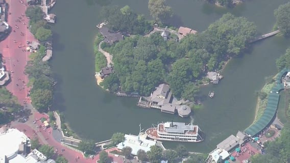 Black bear spotted at Disney's Magic Kingdom