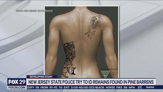 NJ State Police try to identify human remains found in Belleplain State Forest