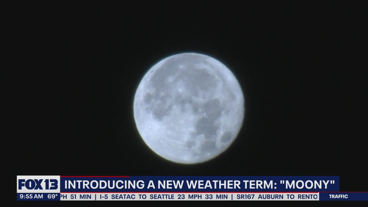 If it's sunny in daytime, do clear skies at night mean it's "moony"?