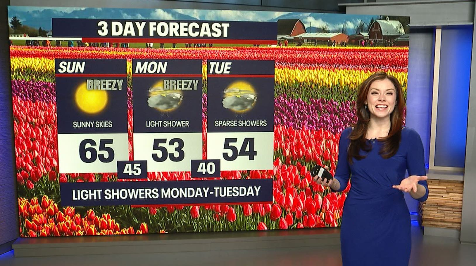 Seattle weather: Sunny Sunday, showers for Monday