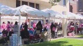 Milwaukee Sista Strut, breast cancer cure fundraiser