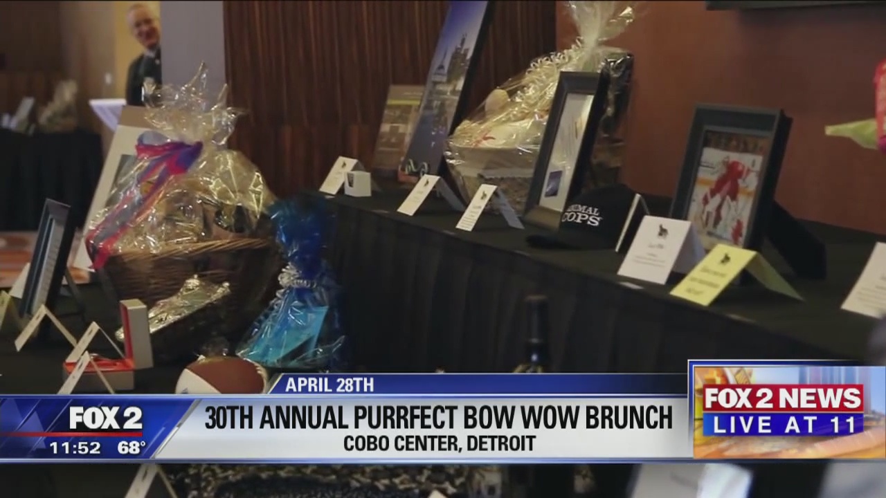 30th annual Purrfect Bow Wow Brunch fundraiser April 28
